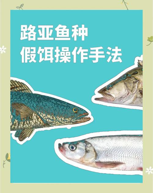 四海釣魚餌料廣告_四海釣魚餌料配方視頻_四海釣魚釣具