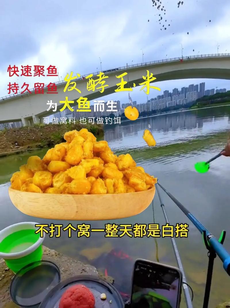 秋季野釣草魚用什么打窩_深秋釣草魚用什么餌料打窩_釣深秋餌料草魚打窩用幾號鉤