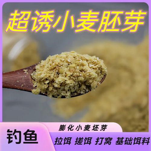 秋季怎么用小麥釣魚_小麥釣魚秋季用幾號鉤_小麥釣餌釣什么魚