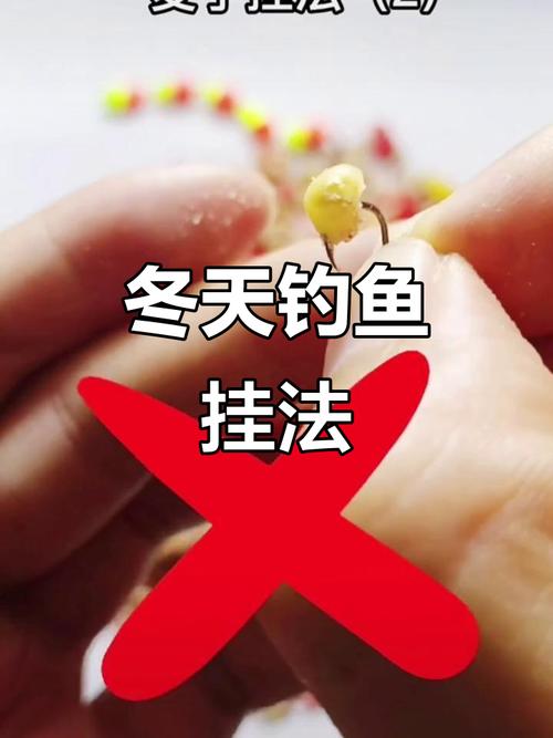 小麥釣餌釣什么魚_秋季怎么用小麥釣魚_小麥釣魚秋季用幾號鉤