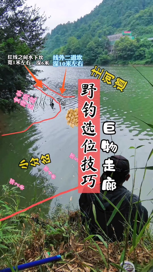 小麥釣餌釣什么魚_秋季怎么用小麥釣魚_小麥釣魚秋季用幾號鉤