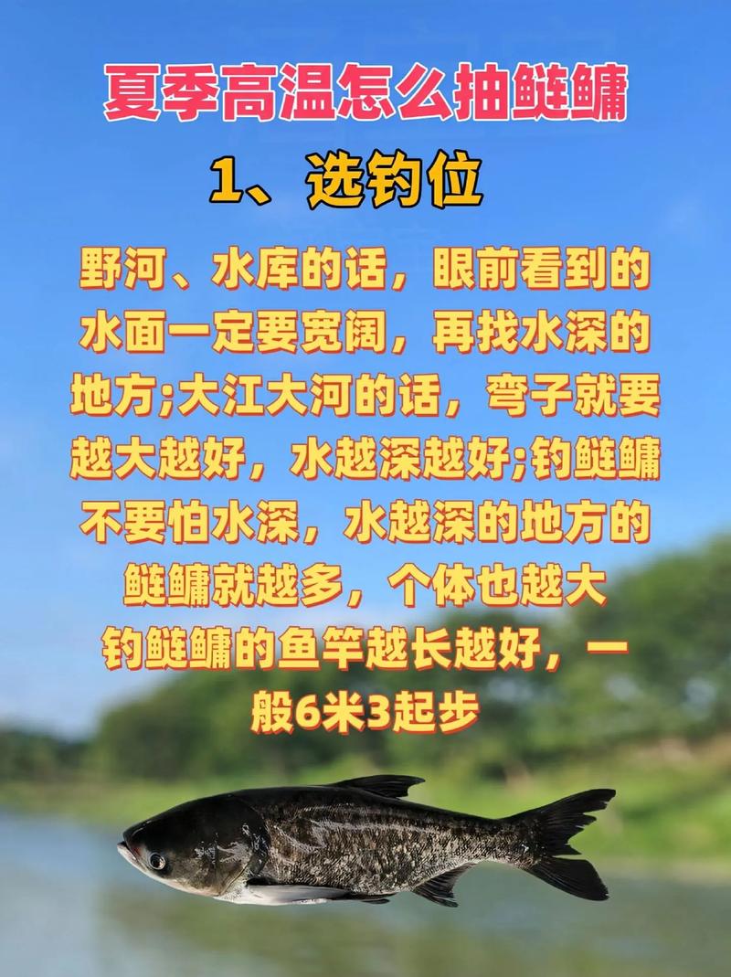 秋季釣鰱鳙技巧_鰱鳙釣位選擇方法_秋季怎樣釣鰱鳙?