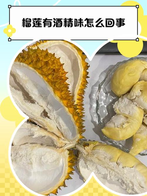 榴蓮不能喝酒嗎_榴蓮不能吃螃蟹嗎_榴蓮的功效與作用及禁忌是什么