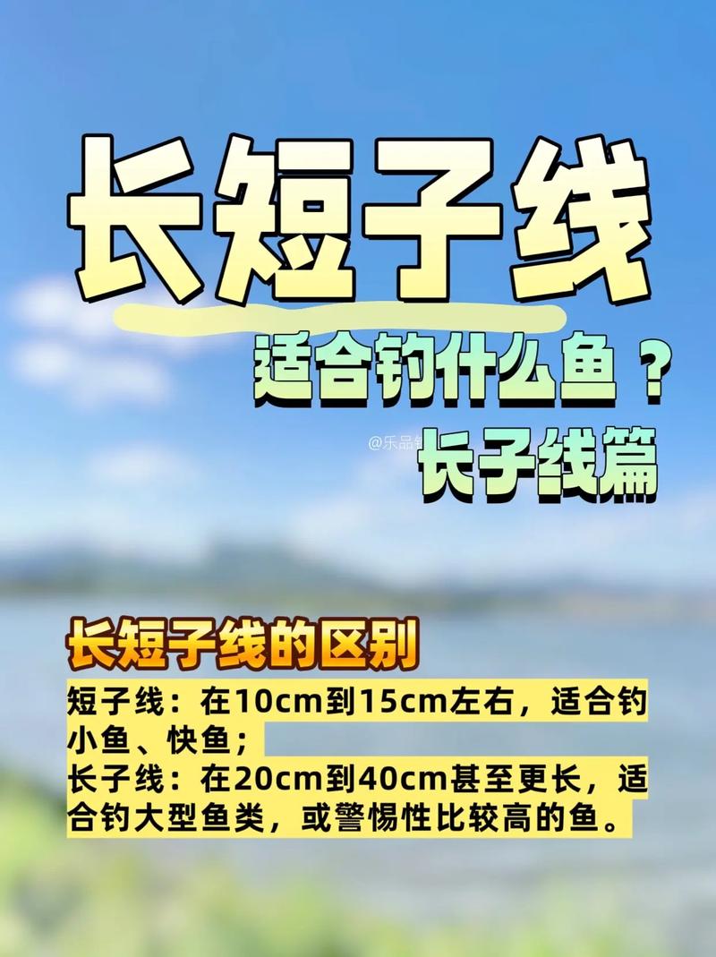 釣池塘子線長度選擇_競技釣短子線應用_子線長度多長合適必看