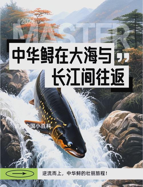 中華鱘人工增殖放流_長江水質監測_中華鱘的棲息地分布范圍主要在哪里