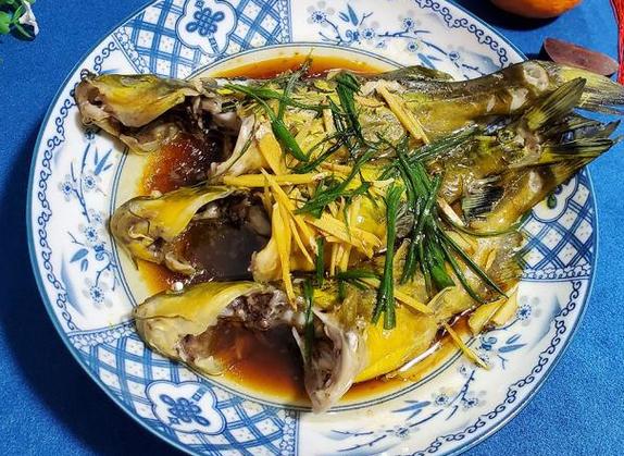 黃蜂魚是什么魚_黃蜂魚功效作用_黃蜂魚營養價值