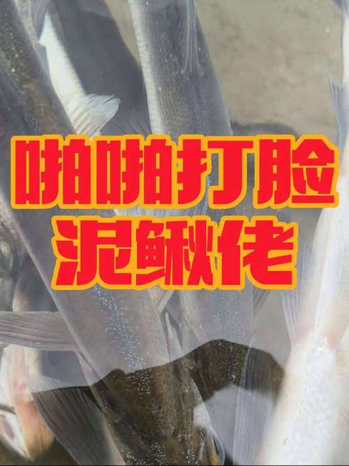 路亞釣魚視頻野釣實戰_路亞視頻野釣_《路亞視頻》釣友自然水域擒獲翹嘴必看