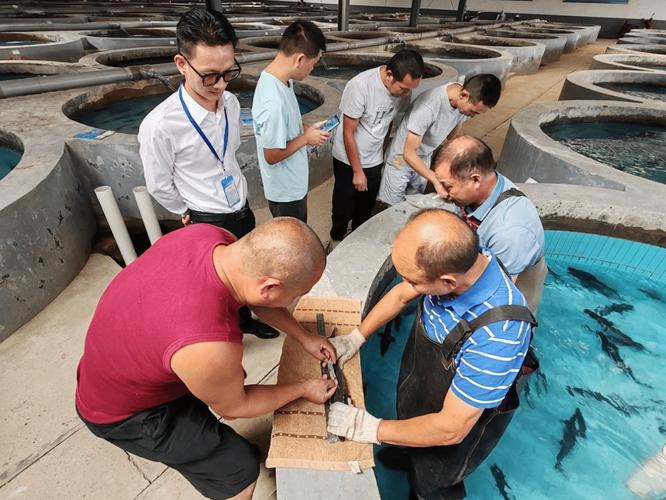 中華鱘增殖放流活動 宜昌 中華鱘保護_中華鱘的棲息地分布范圍主要在哪里