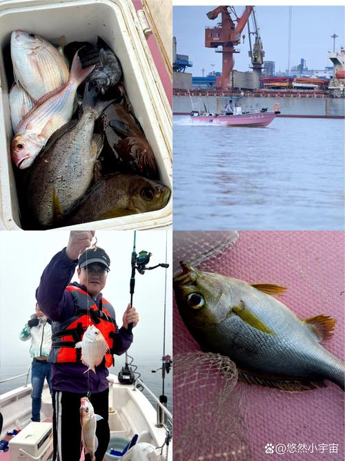 天津海釣釣魚地點圖片_天津最好的釣魚基地_天津釣魚地點大全