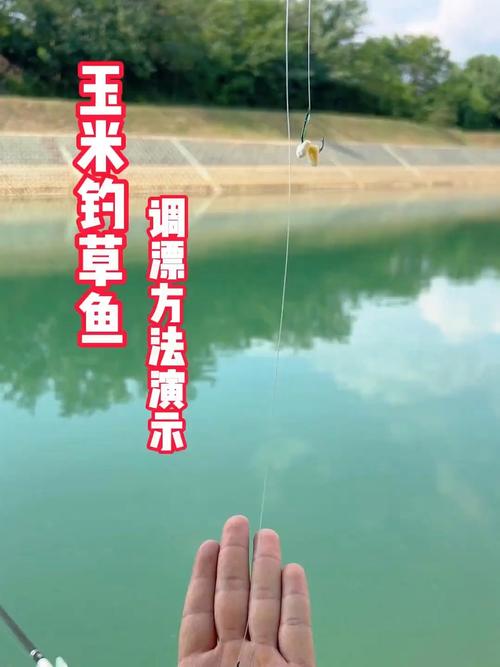 草魚餌料推薦_釣草魚用什么餌料釣最好_釣草魚餌用什么最好