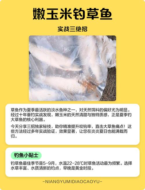 草魚釣餌_草魚餌料野釣_釣草魚用什么餌料最好使