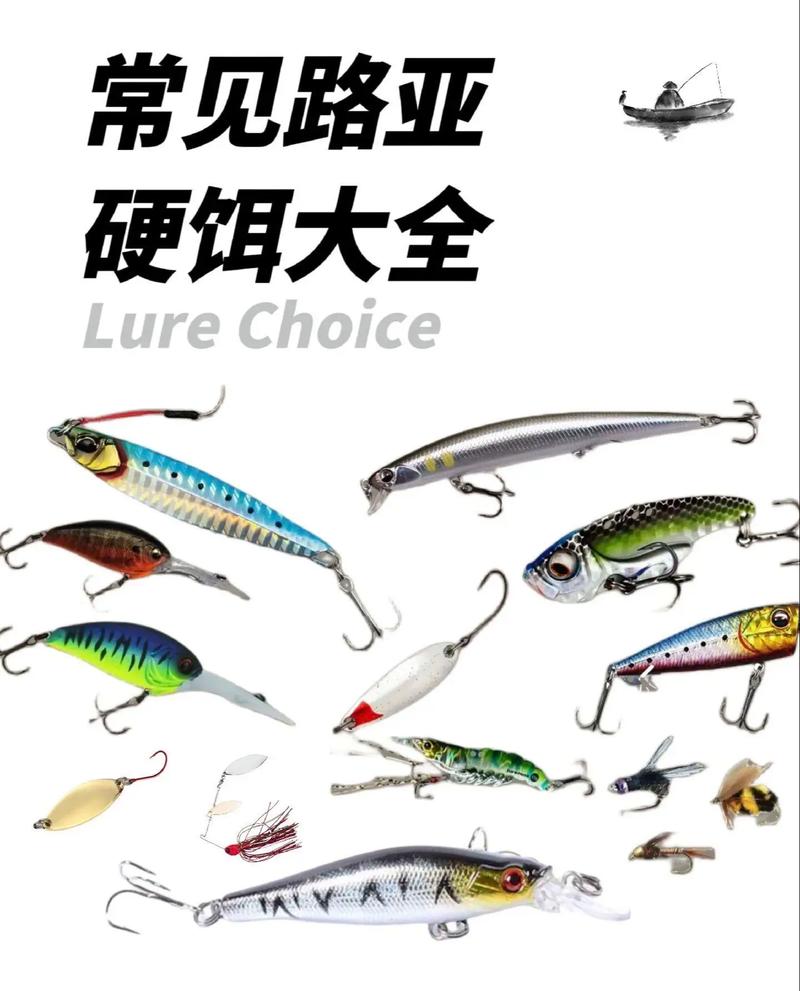 路亞釣法_路亞竿選擇_《路亞小課堂》路亞餌的種類及本土對象魚必看