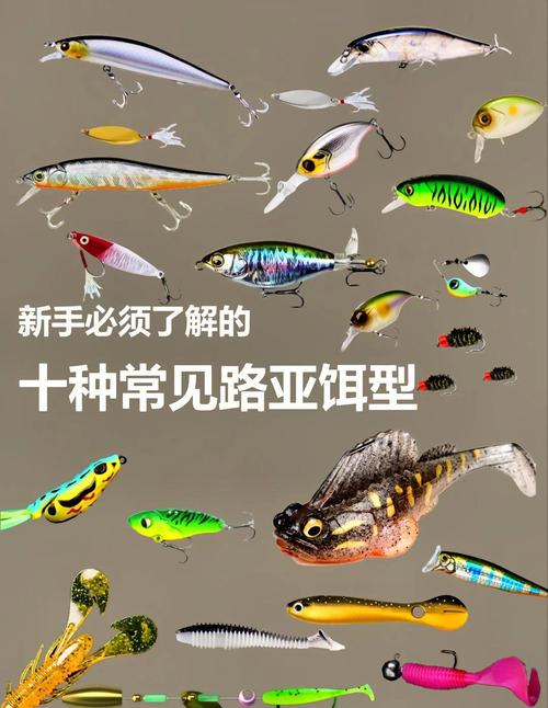 路亞釣法_路亞竿選擇_《路亞小課堂》路亞餌的種類及本土對象魚必看