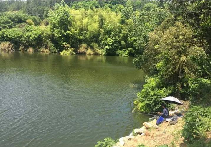 重慶高山水庫野釣_秋日渝北高山水庫野釣記_重慶高山水庫