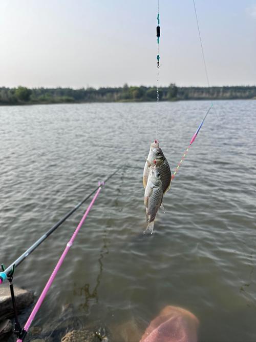 重慶高山水庫野釣_重慶高山水庫_秋日渝北高山水庫野釣記