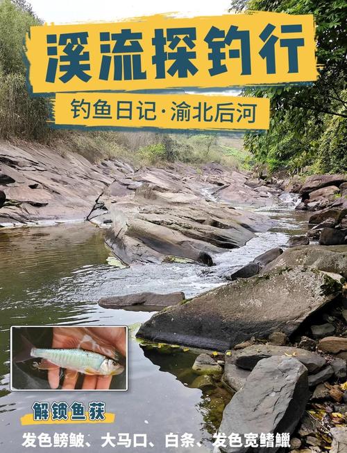 秋日渝北高山水庫野釣記_重慶高山水庫野釣_重慶高山水庫