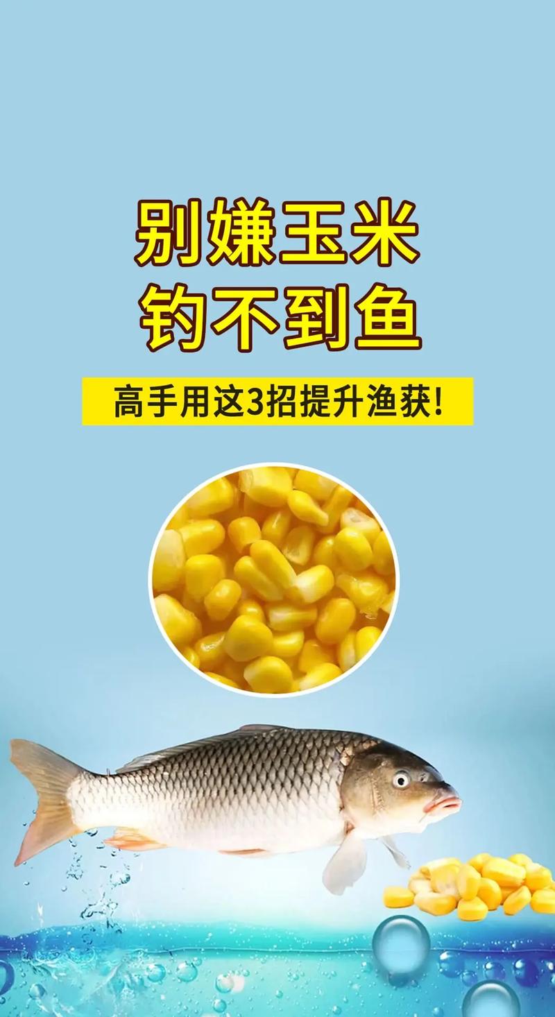 釣效果餌料草魚好用嗎_哪種餌料釣草魚好_釣草魚用什么餌料效果好呢