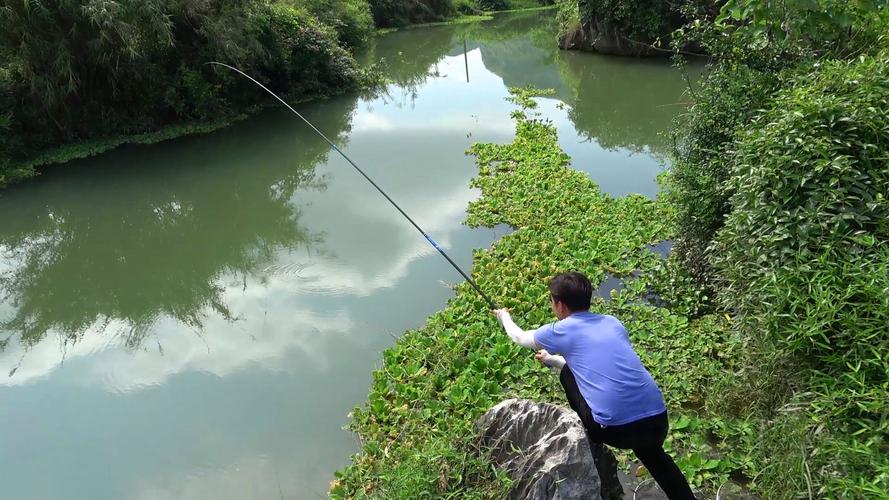 鯉魚棲息環境_釣鯉魚技巧_自然水域釣魚視頻_大水面釣魚視頻-