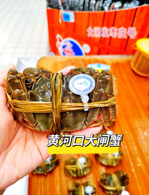 黃河口大閘蟹上市時間_黃河口大閘蟹是淡水還是海水養_黃河口大閘蟹是什么蟹種