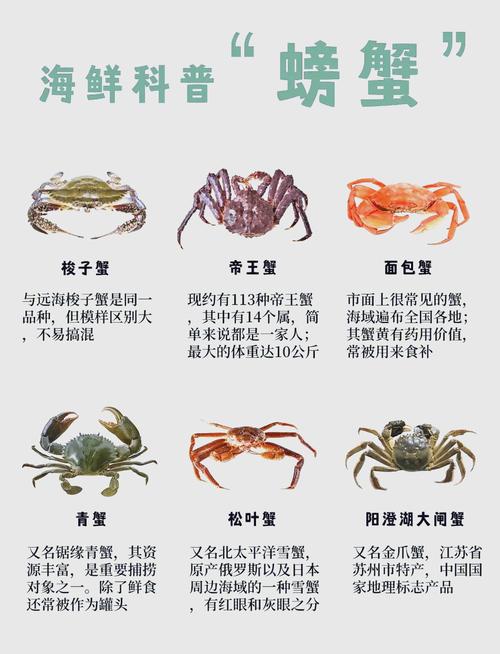 黃河口大閘蟹是什么蟹種_黃河口大閘蟹是淡水還是海水養_黃河口大閘蟹上市時間