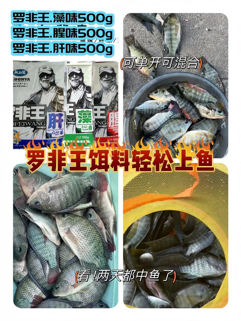 野釣大羅非用什么餌好_釣大羅飛用什么餌_大餌釣大魚