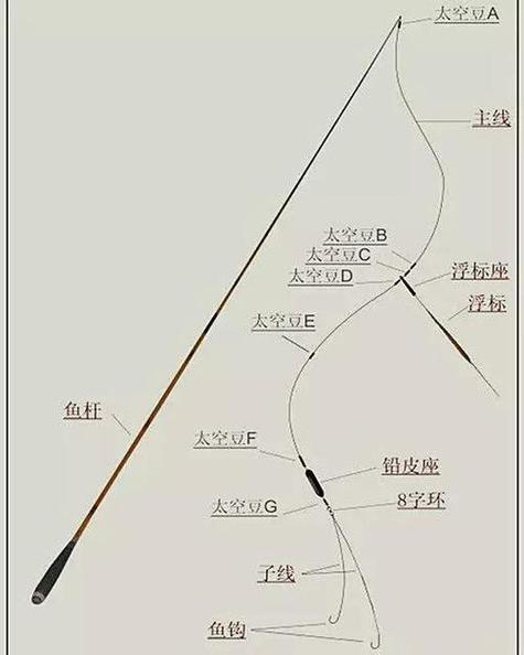 釣3到5斤鯉魚線組搭配_釣鯉魚怎么配線組_野釣鯉魚線組搭配