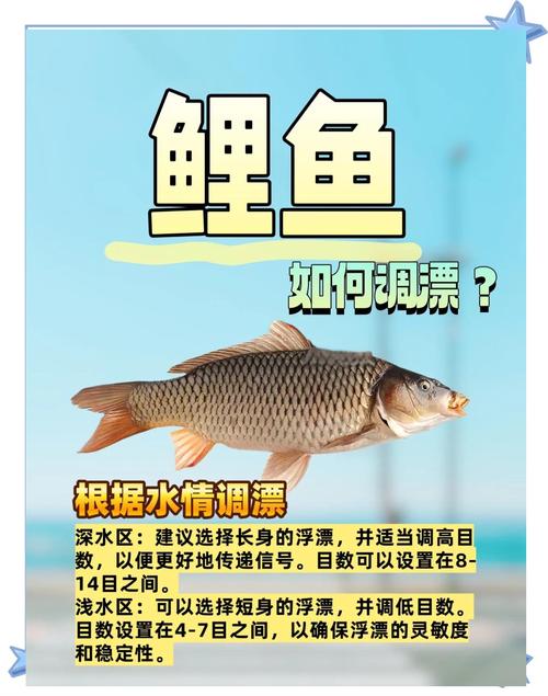 南方深秋釣魚技巧_深秋釣鯉魚技巧_深秋鯉魚餌料選擇