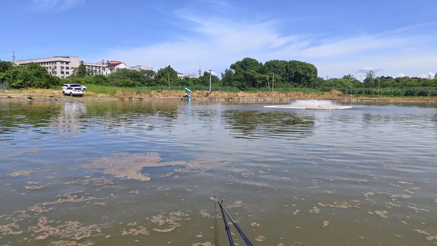 金華釣場大全_金華免費釣點_金華義烏市免費釣場大全