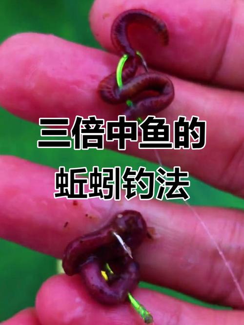 水庫蚯蚓野釣鯽魚技巧_脫水蚯蚓餌制作技巧_水庫釣大物蚯蚓餌制作方法