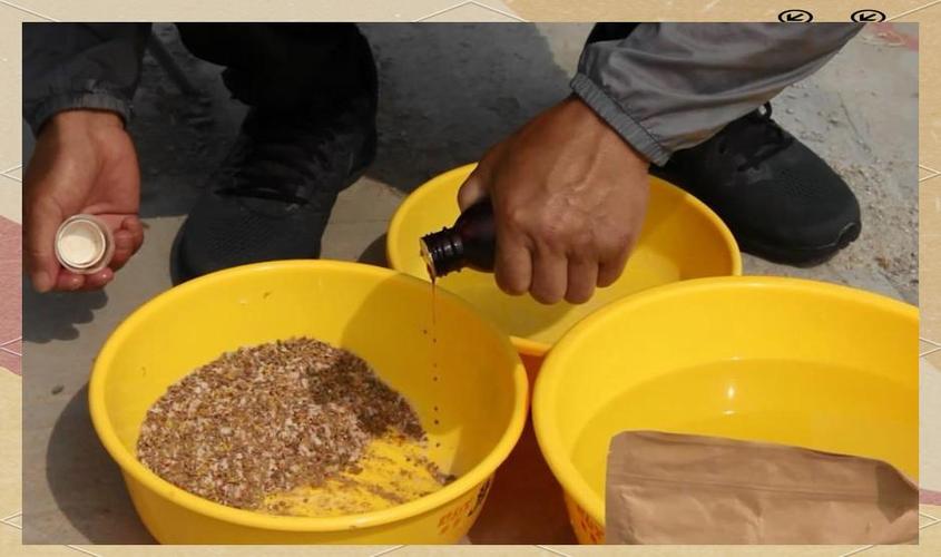 水庫釣大物蚯蚓餌制作方法_脫水蚯蚓餌制作技巧_水庫蚯蚓野釣鯽魚技巧