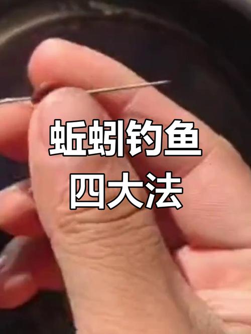 脫水蚯蚓餌制作技巧_水庫釣大物蚯蚓餌制作方法_水庫蚯蚓野釣鯽魚技巧