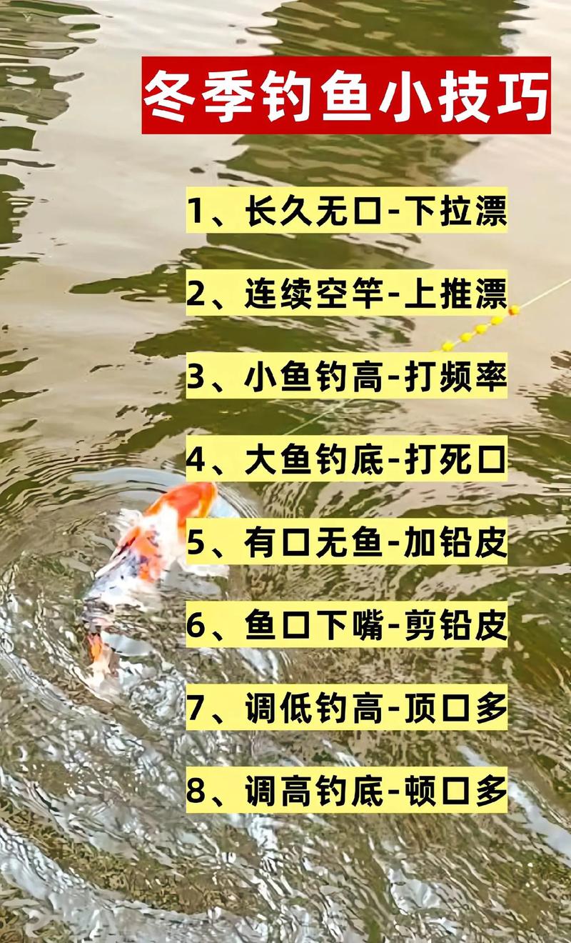 冬天水庫釣位_冬季水庫釣大魚的視頻_冬天水庫鑿冰釣魚技巧