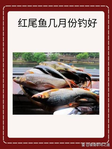 杭州釣魚位置_釣魚杭州地點有哪些_杭州釣魚地點