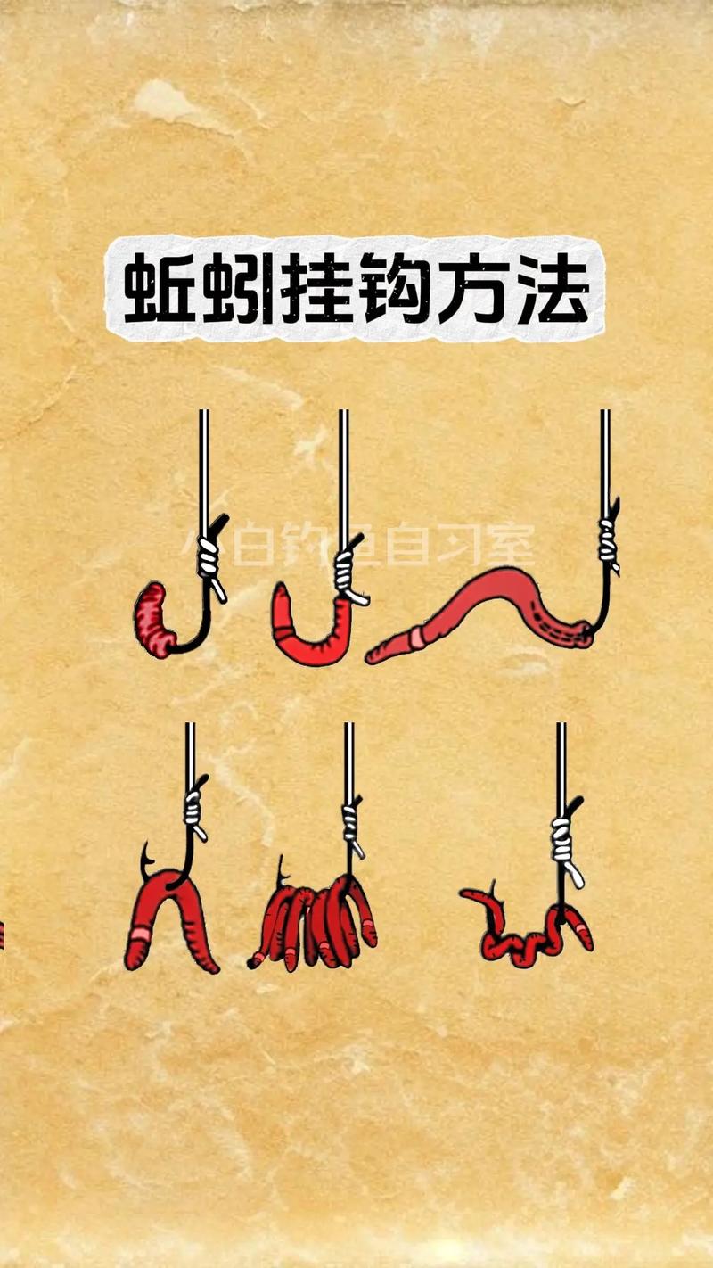喜陰暗潮濕環境_蚯蚓生活習性_蚯蚓釣鯽魚絕密技巧?