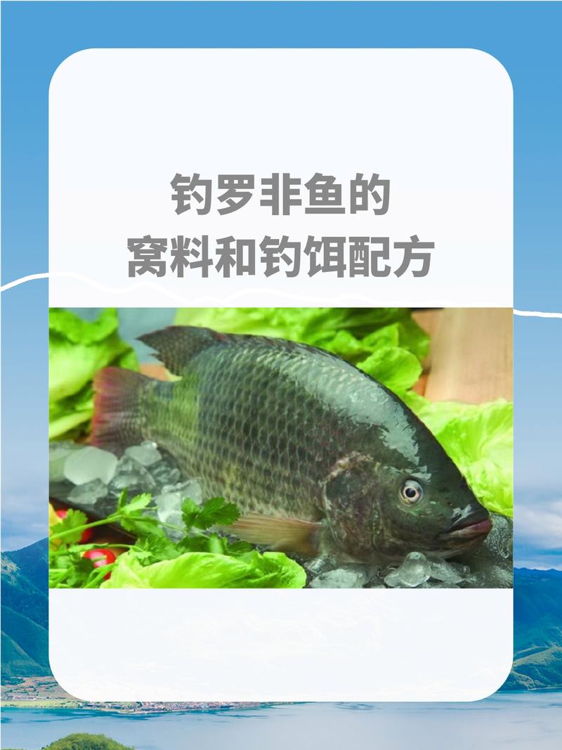 釣大羅非魚餌料配方_羅非魚釣位選擇技巧_羅非魚生活習性