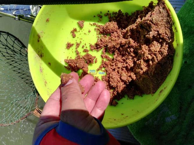 為什么人屬只剩智人_公司注銷是什么意思啊_《涉釣英雄傳》第33集閱海濕地百斤之戰必看