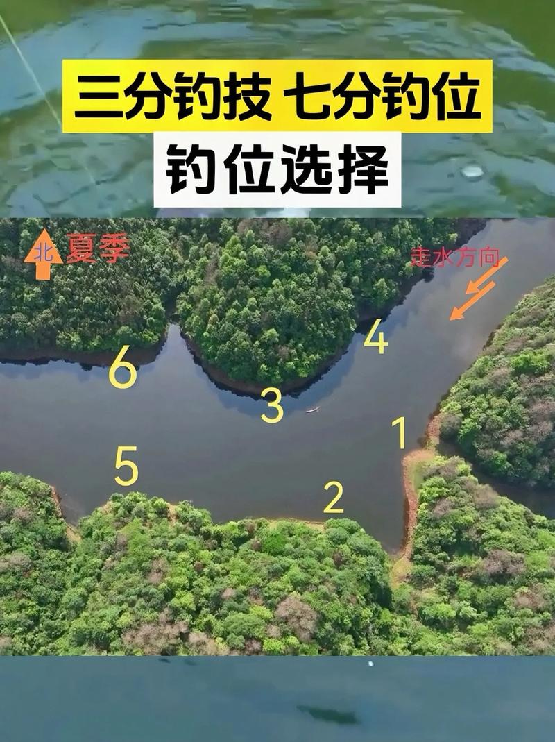 水庫水魚怎么釣_釣水庫技巧大全_初夏水庫釣魚技巧
