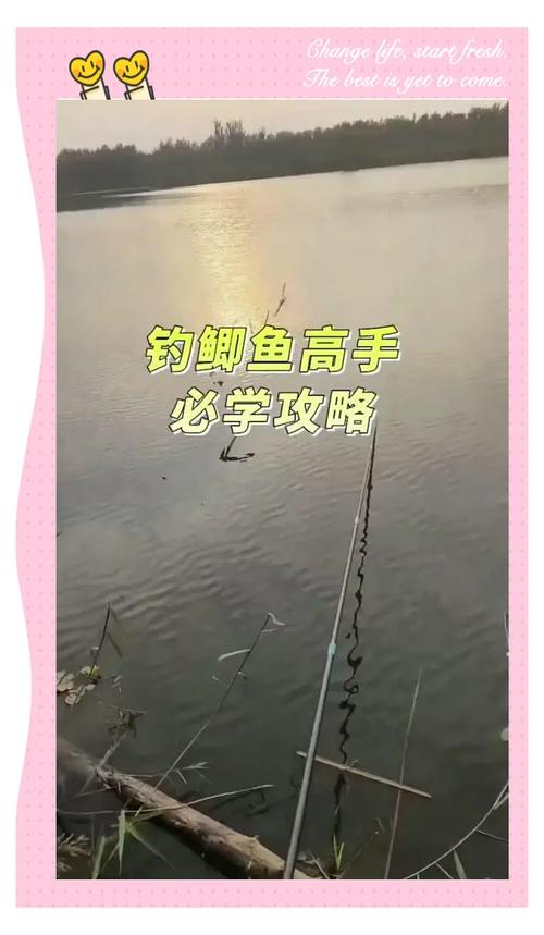 釣視頻高清大魚大全教程_釣大魚視頻大全高清_釣魚視頻大全播放2020