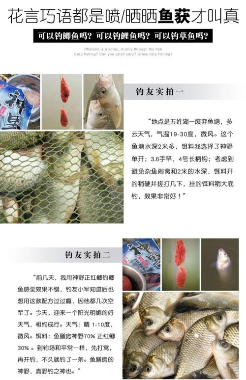 釣鯧魚用什么餌料_釣紅鯧魚用什么餌料_鯧魚食物習性
