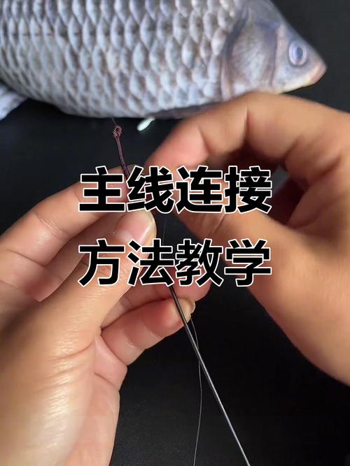 主線魚竿頭的綁法_釣魚魚線綁法技巧_魚竿與魚線綁定方法