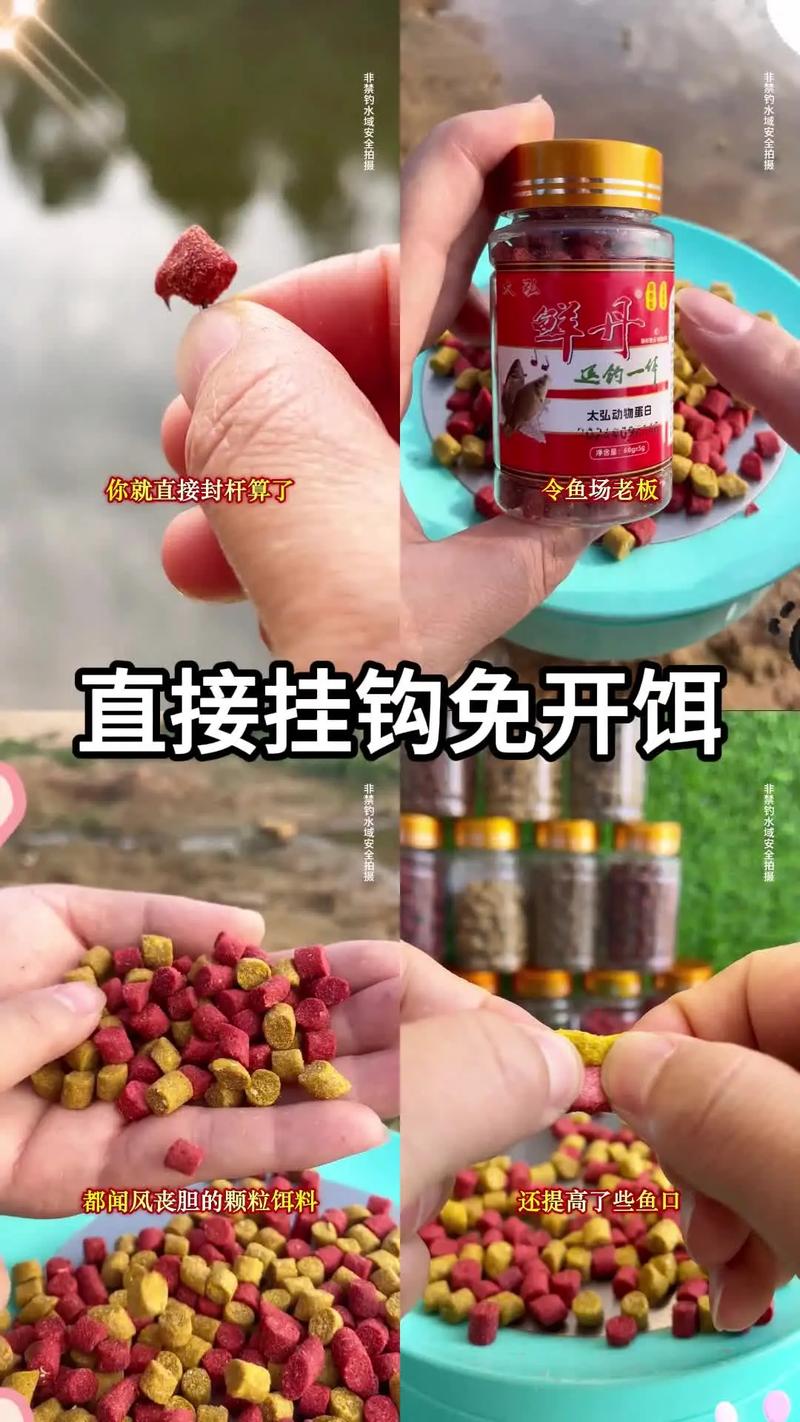 活蚯蚓掛法_蚯蚓釣鯉魚技巧小藥?_蚯蚓釣魚技巧