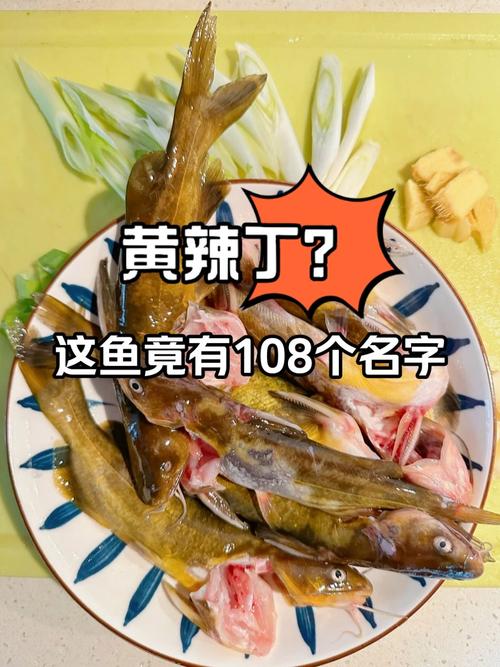 昂公魚和黃辣丁的區別_黃辣丁和昂刺魚是一種魚嗎_黃辣丁和昂刺魚一樣嗎