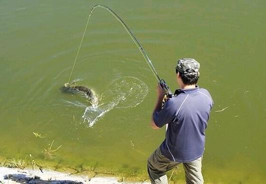 上海釣魚論壇首頁_釣魚論壇上海首頁官網_上海釣魚論壇進不去了
