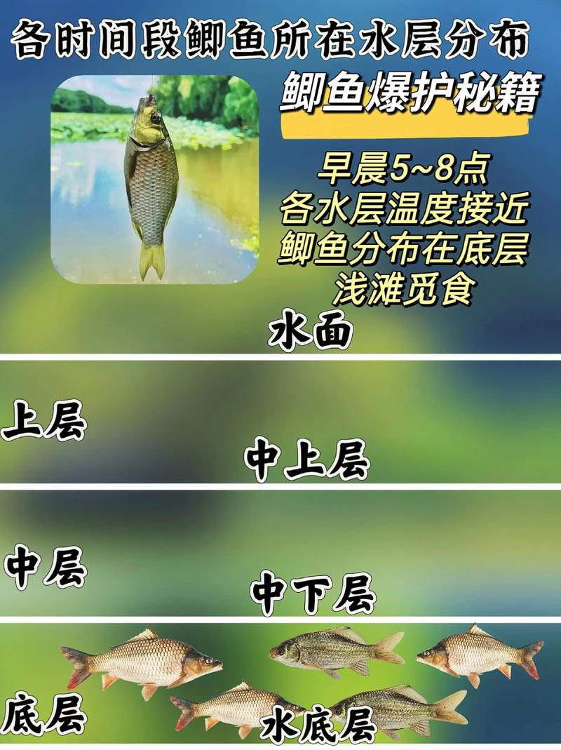 釣魚論壇上海首頁官網_上海釣魚論壇進不去了_上海釣魚論壇首頁