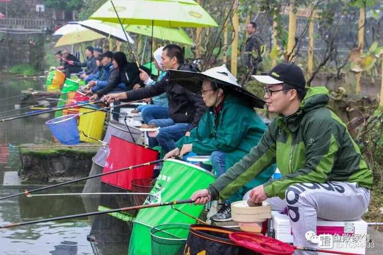 釣魚經濟_年輕人釣魚趨勢_專業釣魚大賽