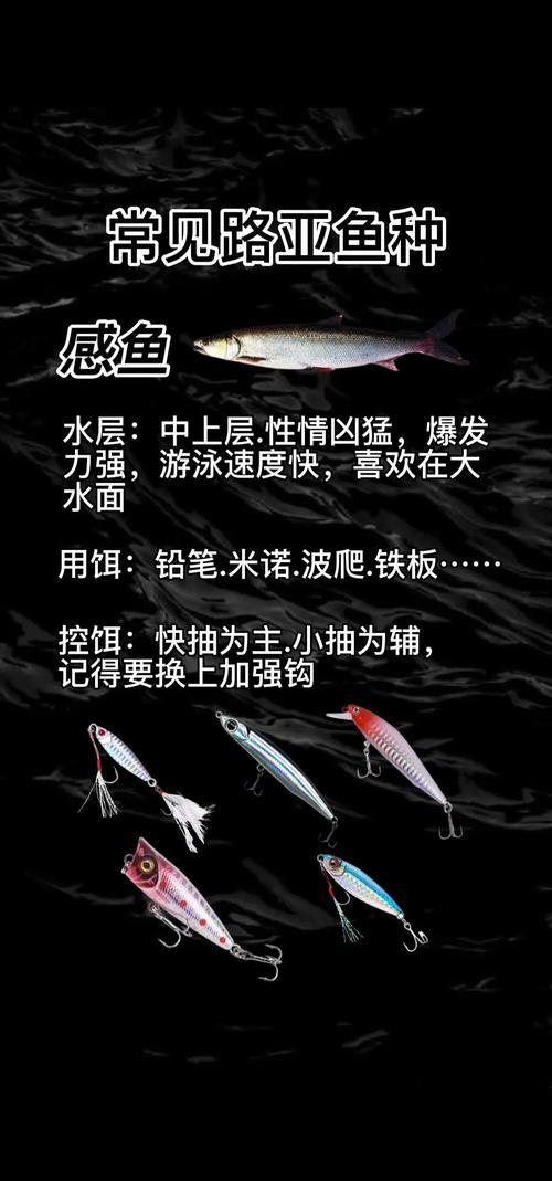 上海釣魚論壇首頁app_上海釣魚論壇進不去了_上海釣魚網 上海釣魚論壇