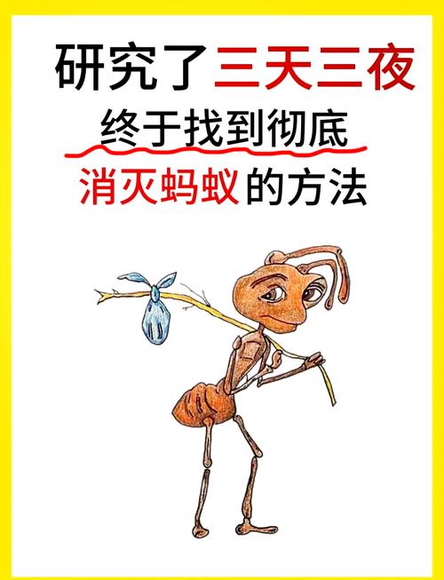 近期野釣慘遭螞蟻圍攻快速處理辦法_野釣事故預防_野釣安全風險