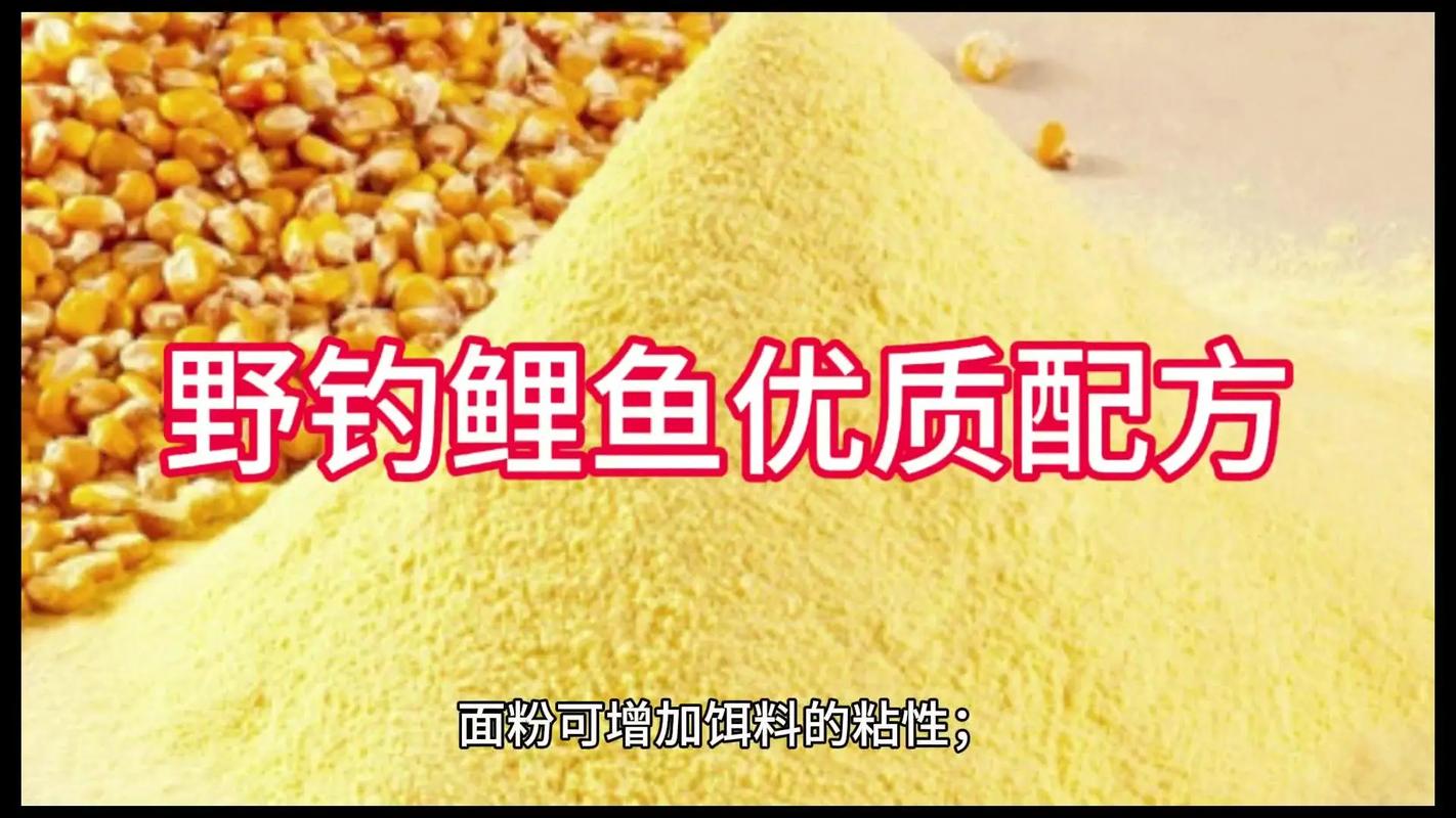 野釣走空餌料選擇_發酵嫩玉米釣鯉魚配方_自制鯉魚玉米餌料配方?
