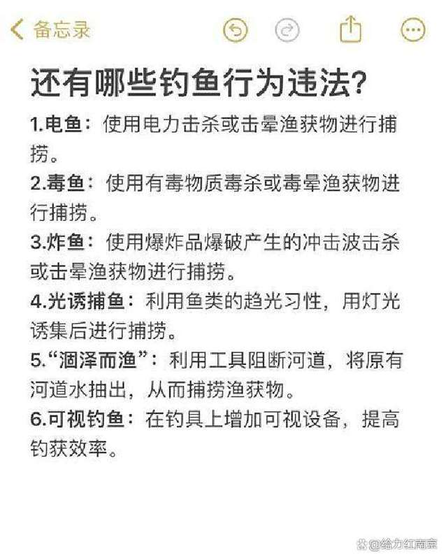 上海釣法_上海釣魚吧百度貼吧_上海釣魚吧