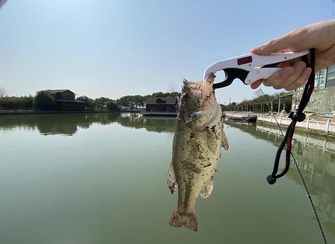 上海釣魚吧百度貼吧_上海釣法_上海釣魚吧